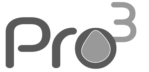 Trademark Logo PRO 3