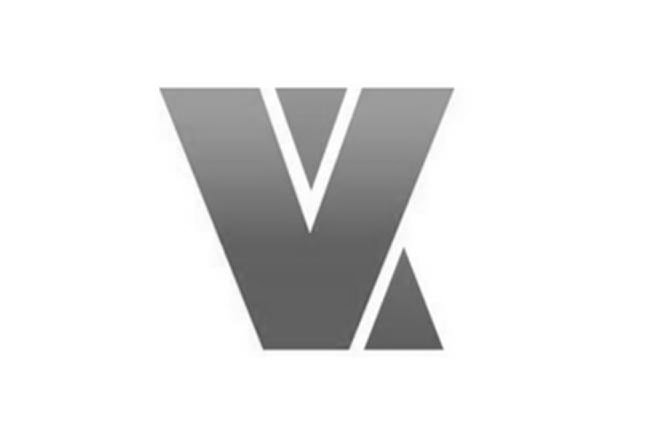 Trademark Logo VX