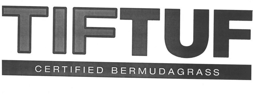 Trademark Logo TIFTUF CERTIFIED BERMUDAGRASS