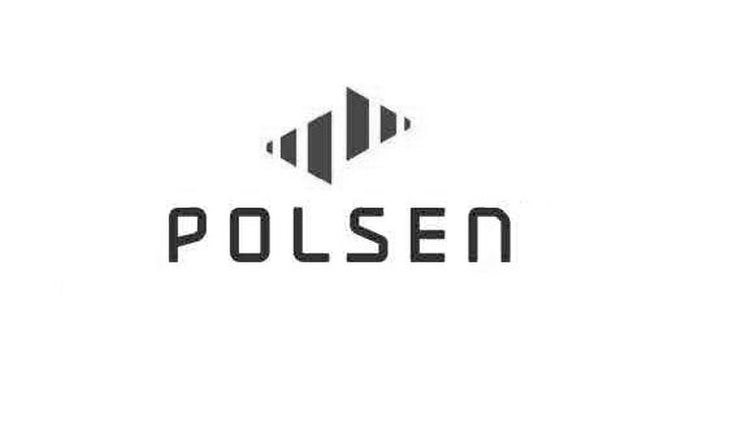  POLSEN