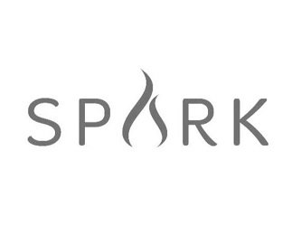  SPARK