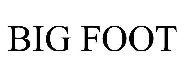 Trademark Logo BIG FOOT