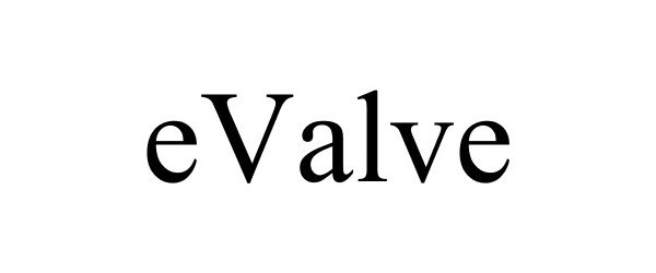Trademark Logo EVALVE
