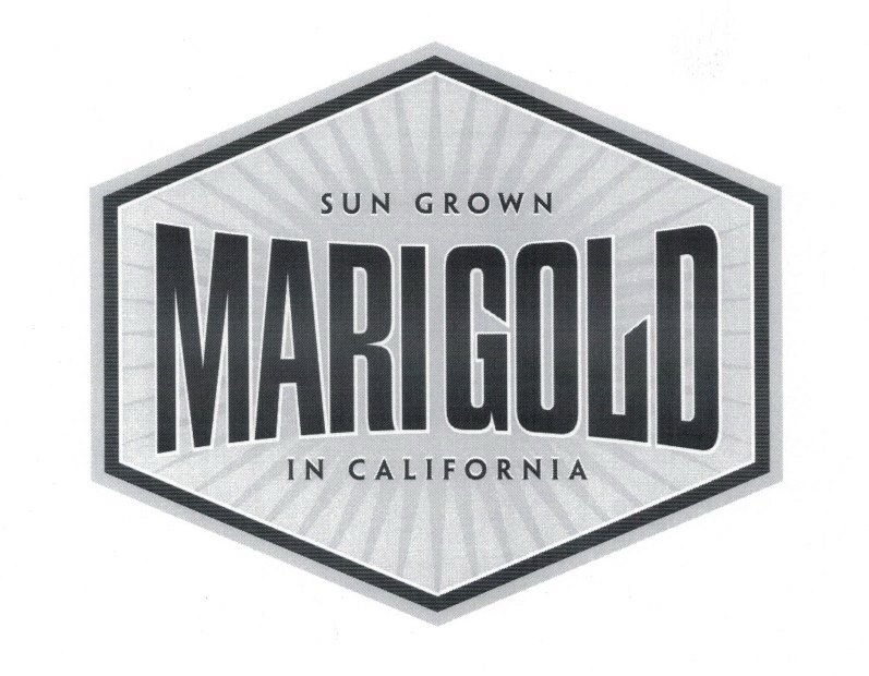  MARIGOLD SUN GROWN IN CALIFORNIA