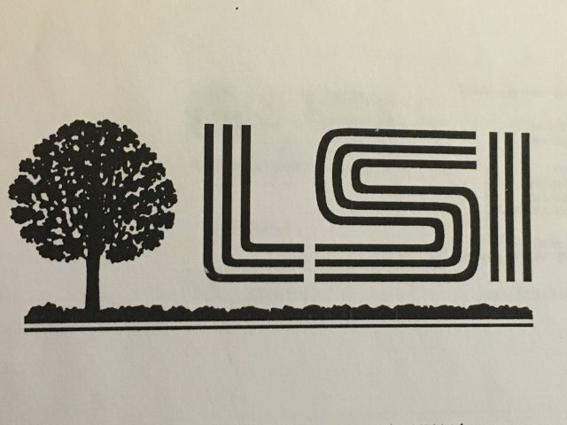 Trademark Logo LSI