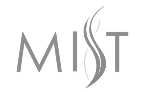 Trademark Logo MIST