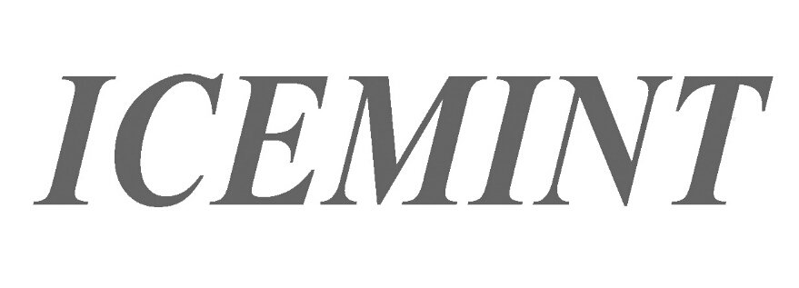Trademark Logo ICEMINT