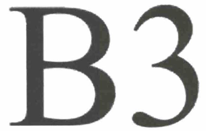  B3