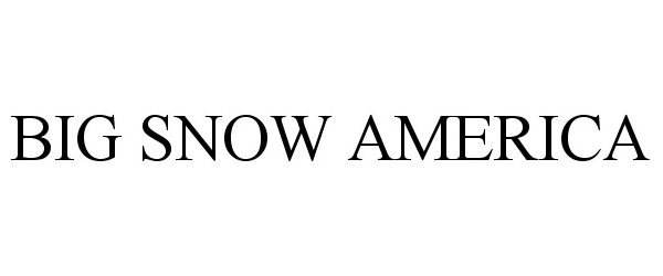 Trademark Logo BIG SNOW AMERICA