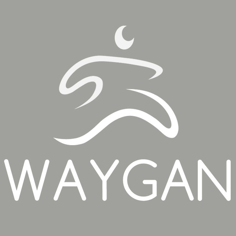  WAYGAN