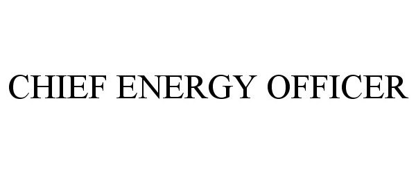  CHIEF ENERGY OFFICER