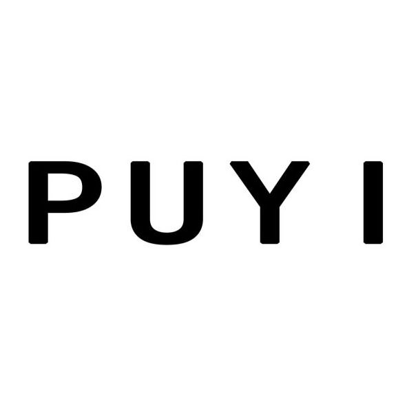 Trademark Logo PUYI