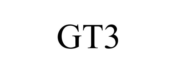  GT3
