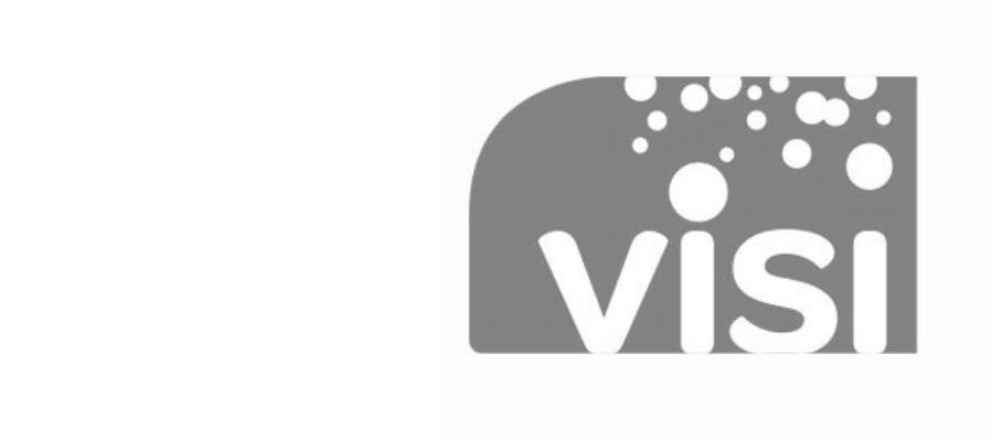  VISI