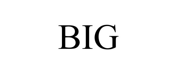 Trademark Logo BIG