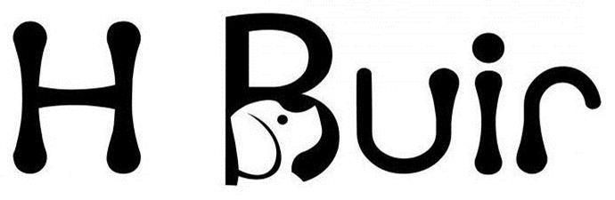 Trademark Logo H BUIR