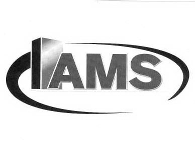 Trademark Logo AMS