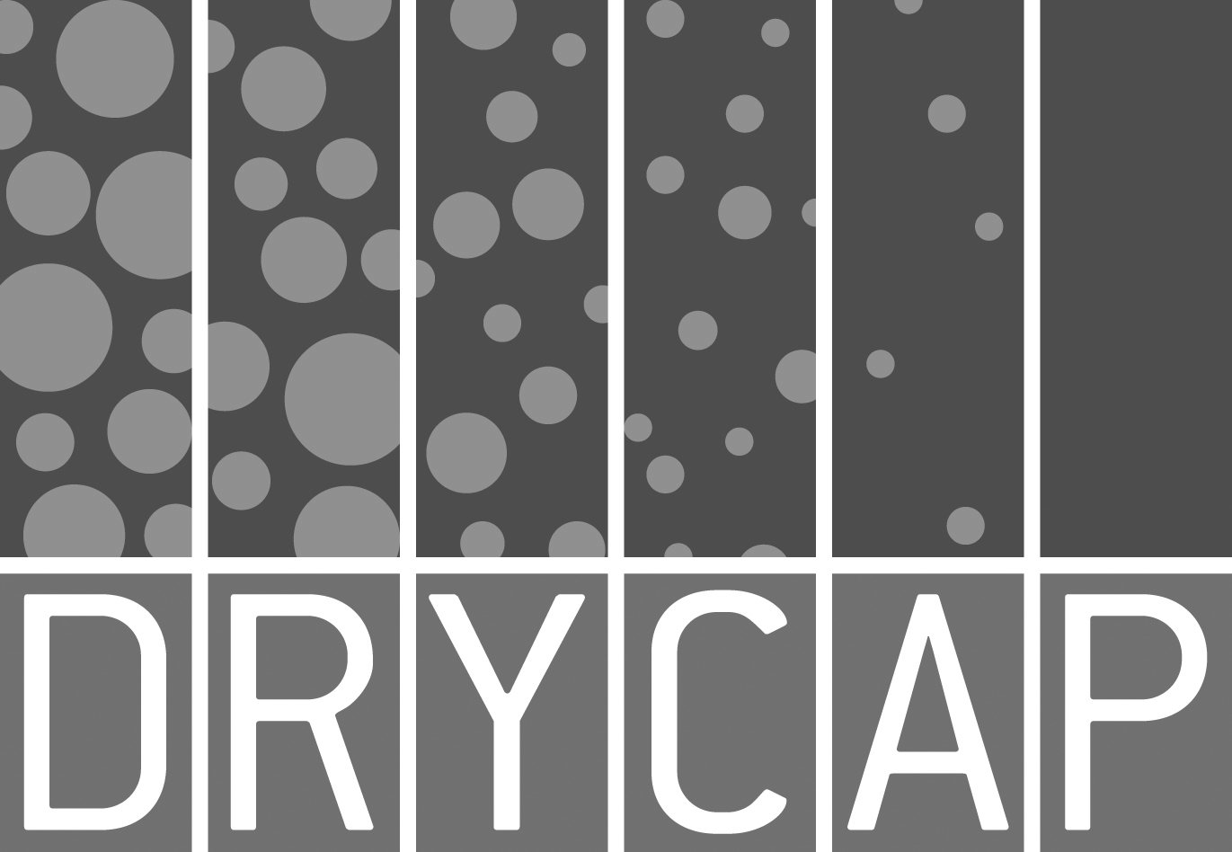 Trademark Logo DRYCAP