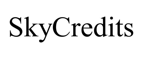 Trademark Logo SKYCREDITS