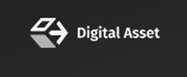  DIGITAL ASSET