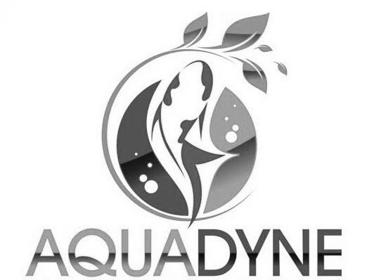  AQUADYNE