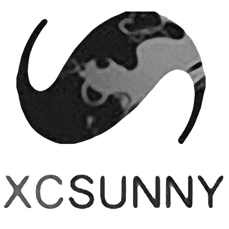 Trademark Logo XCSUNNY