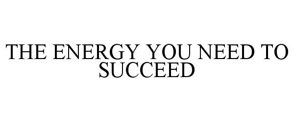  THE ENERGY YOU NEED TO SUCCEED