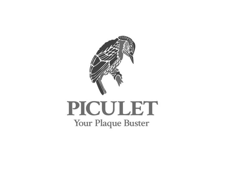 Trademark Logo PICULET YOUR PLAQUE BUSTER