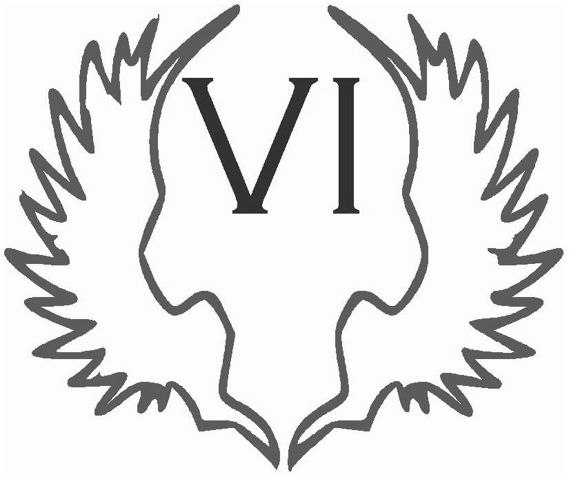 Trademark Logo VI