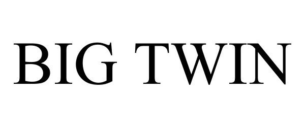 Trademark Logo BIG TWIN