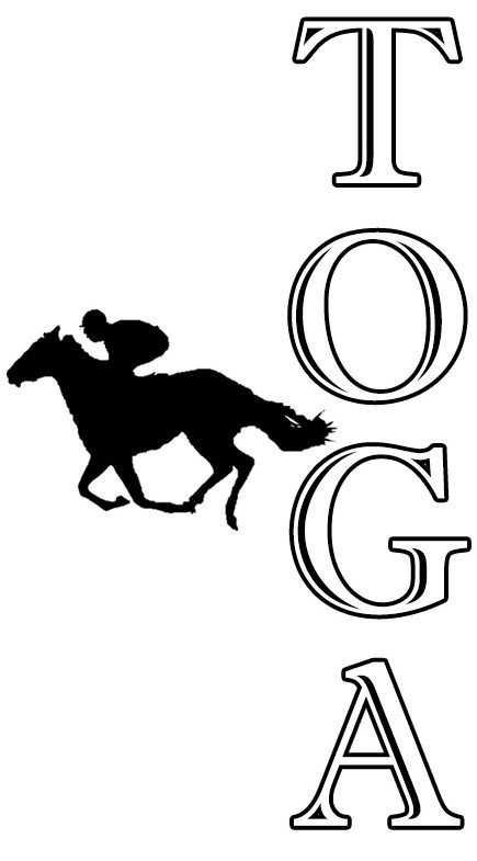 Trademark Logo TOGA