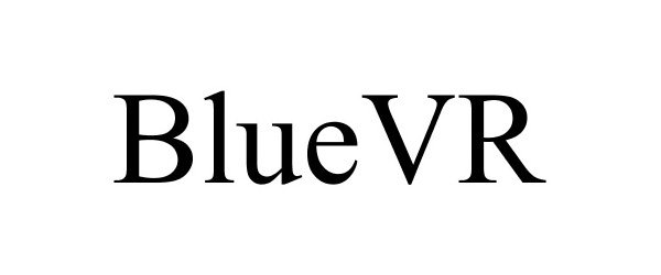  BLUEVR