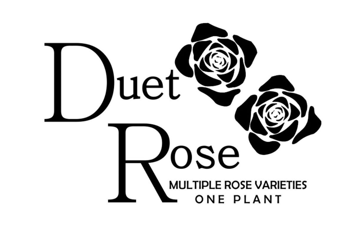 Trademark Logo DUET ROSE MULTIPLE ROSE VARIETIES ONE PLANT