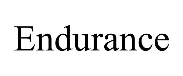 Trademark Logo ENDURANCE