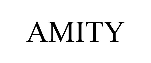 Trademark Logo AMITY