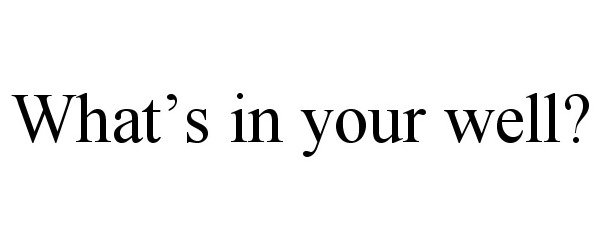  WHAT'S IN YOUR WELL?