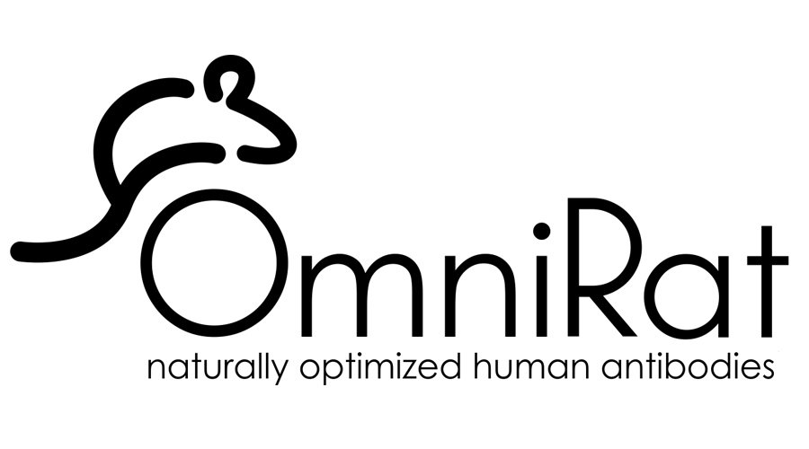  OMNIRAT NATURALLY OPTIMIZED HUMAN ANTIBODIES