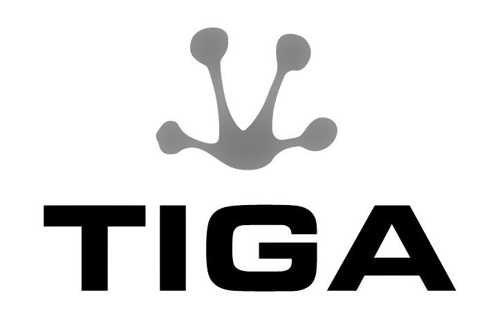  TIGA