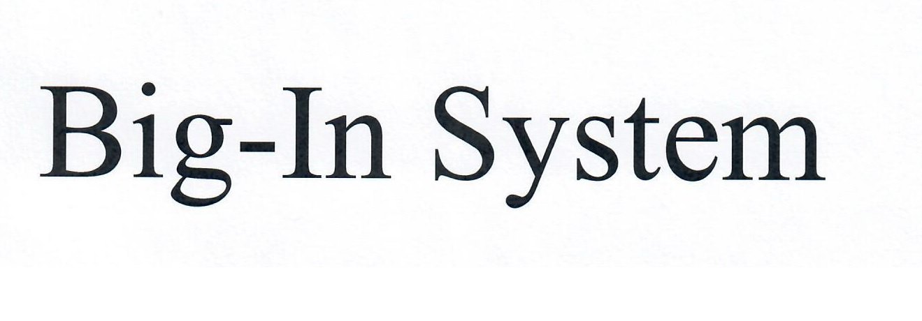 Trademark Logo BIG IN SYSTEM