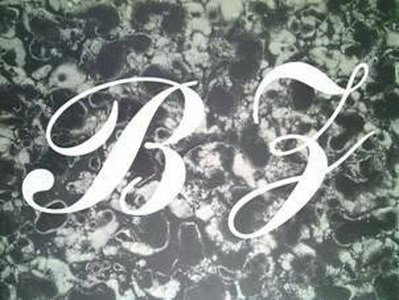 Trademark Logo BZ