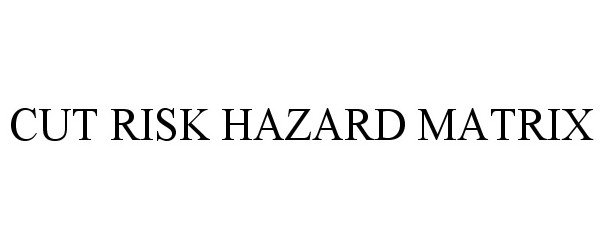  CUT RISK HAZARD MATRIX