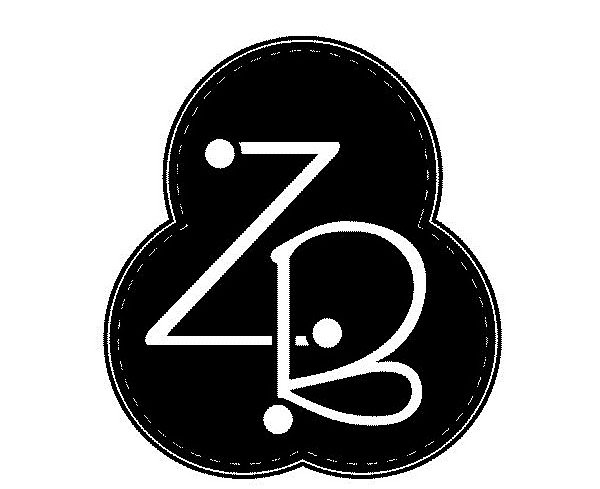  Z B