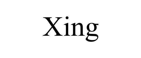 Trademark Logo XING