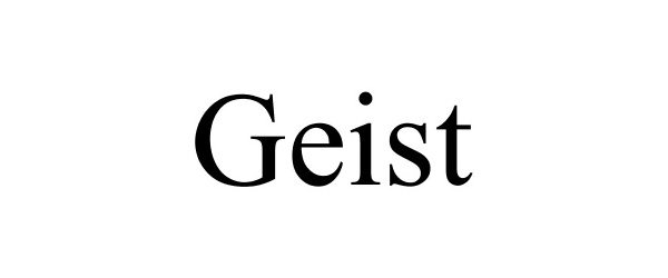 Trademark Logo GEIST