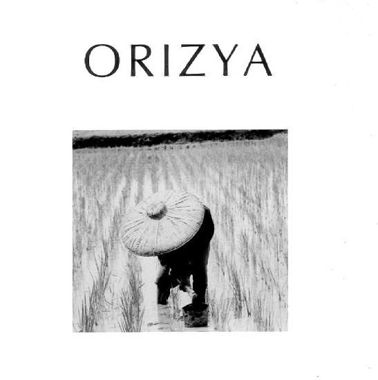  ORIZYA