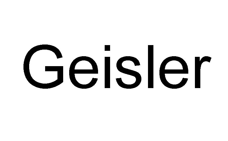  GEISLER