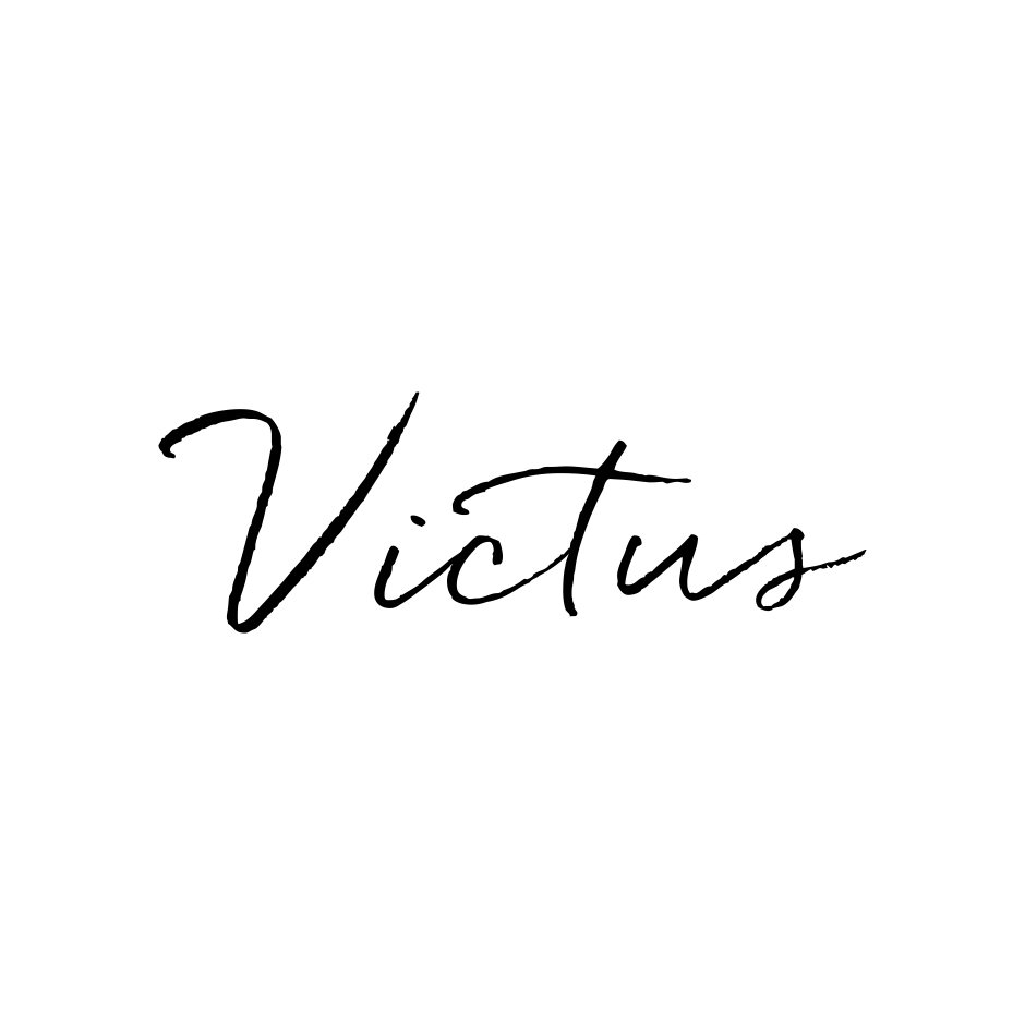 Trademark Logo VICTUS