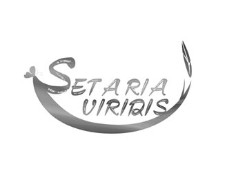 Trademark Logo SETARIA VIRIDIS
