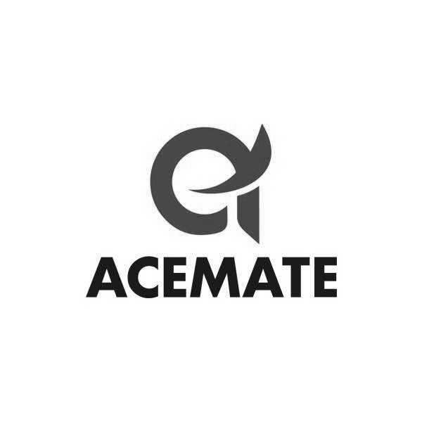 Trademark Logo A ACEMATE