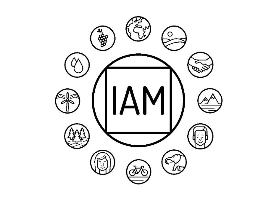 IAM